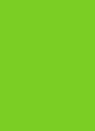 AP166-3 Neon Green